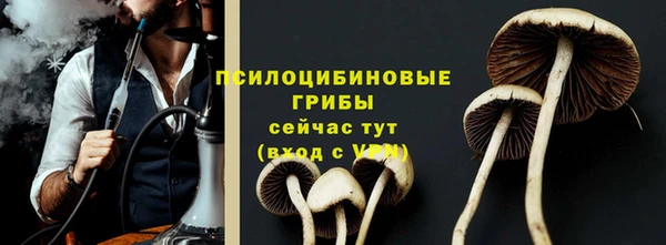 стаф Нефтекумск