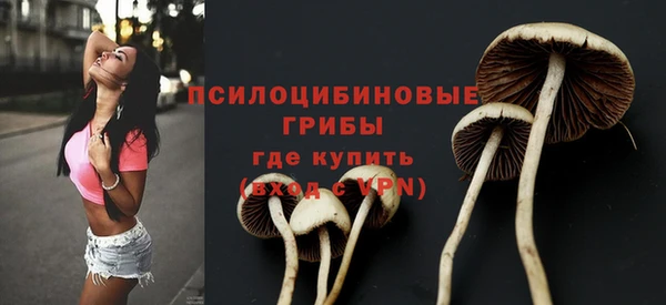 не бодяженный Новозыбков