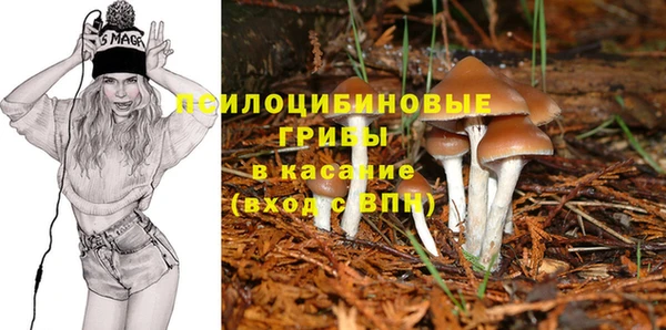 не бодяженный Новозыбков