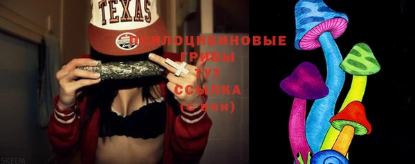 не бодяженный Новозыбков