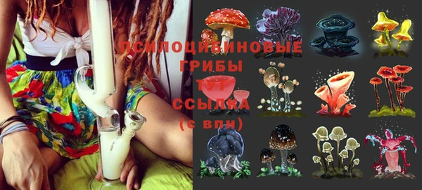 apvp Бикин