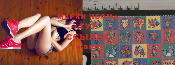 гидра Рославль