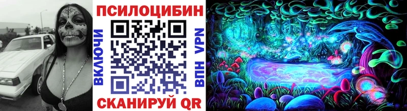 Псилоцибиновые грибы Psilocybe где продают наркотики mega ONION Орлов